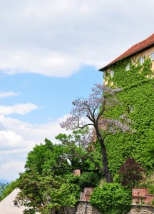 Blick vom Grazer Schlossberg